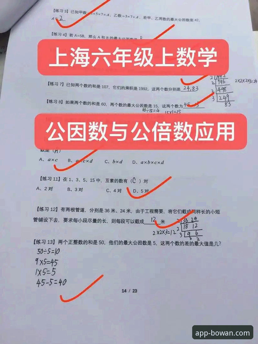 2026博万APP下载安装的3个核心步骤与5大常见问题解答